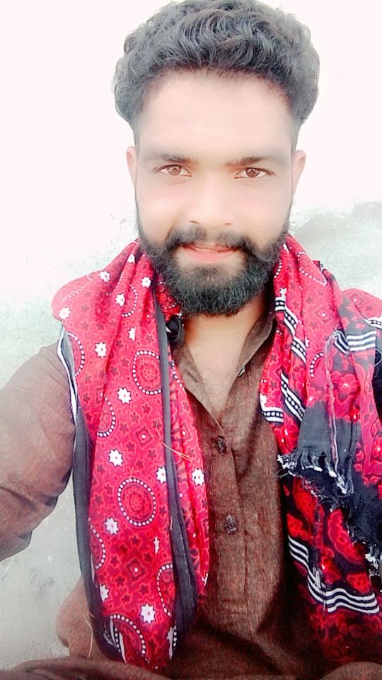 ملک علی